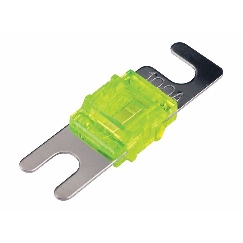 Celsus AFS 100 AMP Fuse